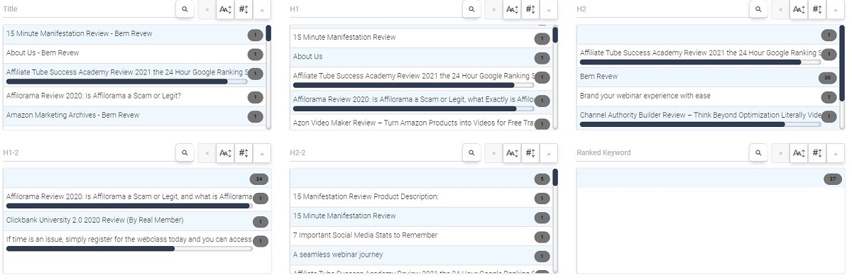 dashboard view of website audit with filters image