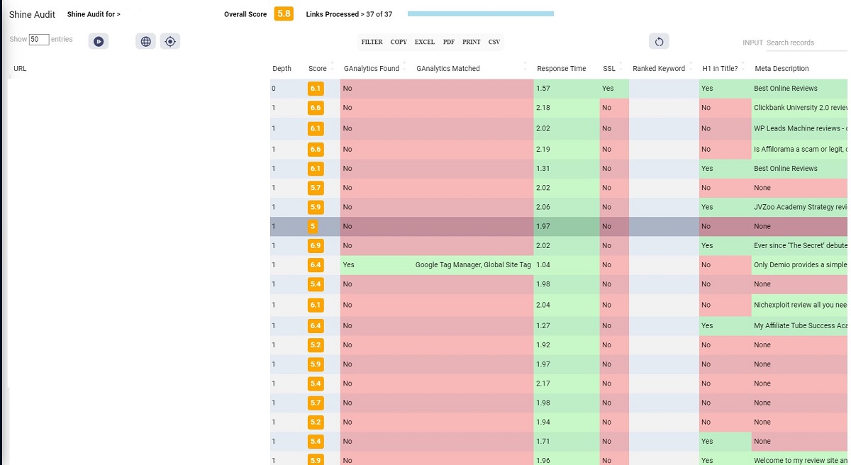 dashboard view of website audit image