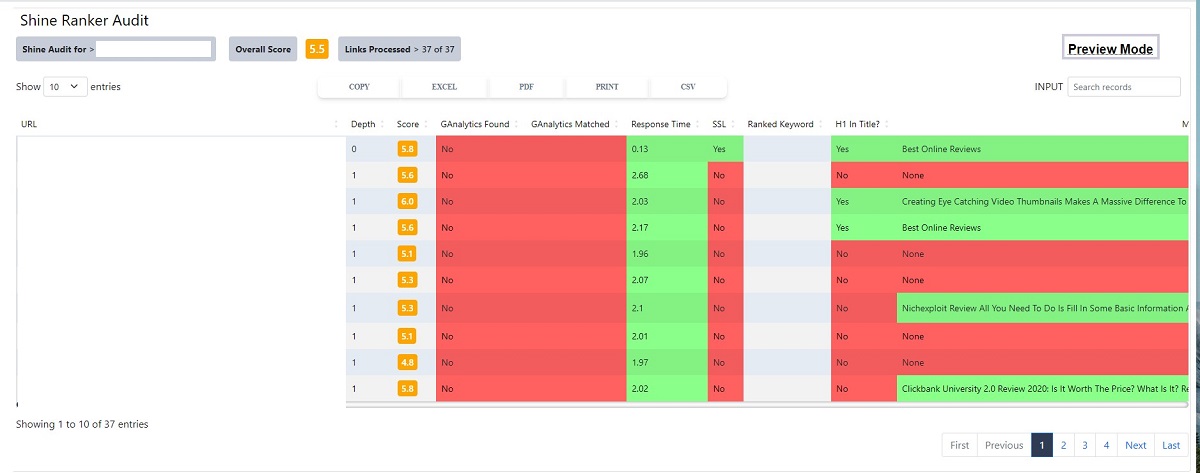 prospect view of free website audit
