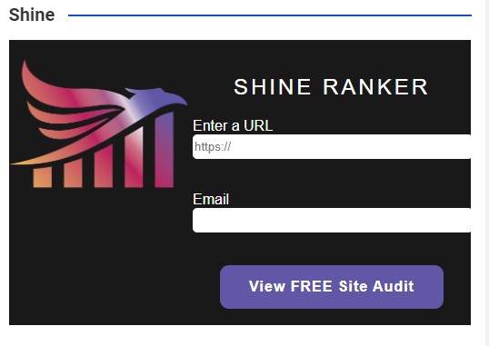 shine ranker client website audit feature